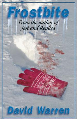 Cover of the book Frostbite by Rose Shababy