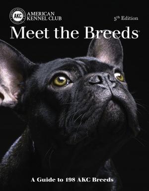 Cover of the book Meet the Breeds by Dog Fancy Magazine