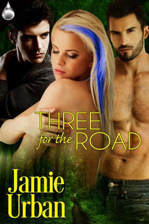 Cover of Three for the Road