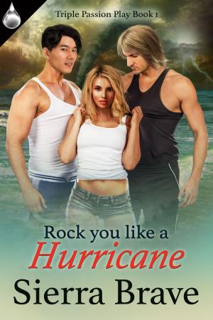 Cover of the book Rock You Like a Hurricane by Rose Middleton