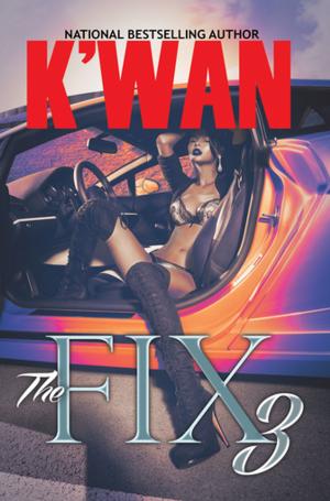 Cover of the book The Fix 3 by Victor L. Martin