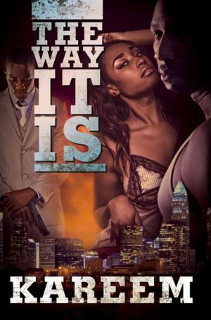 Cover of the book The Way It Is by Sister Souljah