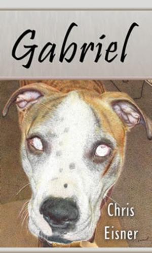 Cover of the book Gabriel by Robert Peters