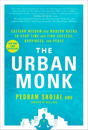 Book cover of The Urban Monk