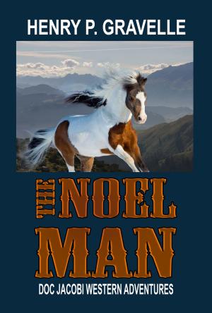 Book cover of The Noel Man