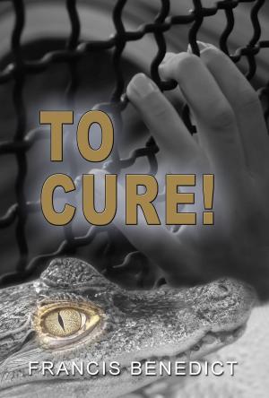 Cover of the book To Cure! by Jeffery Ross