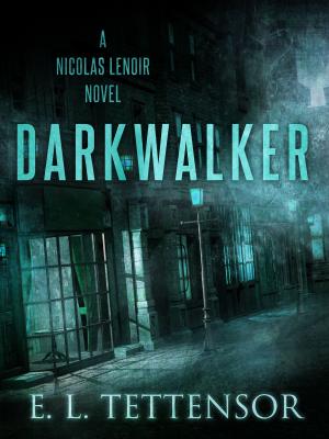 Cover of the book Darkwalker by Edo van Belkom