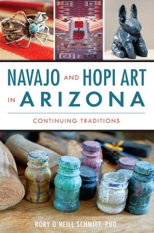 Book cover of Navajo and Hopi Art in Arizona