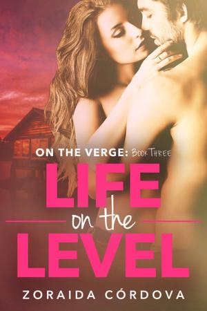 Cover of the book Life on the Level by Anita Mills