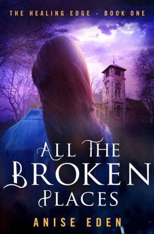 Cover of the book All the Broken Places by Edna Buchanan