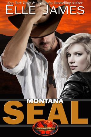 Book cover of Montana SEAL