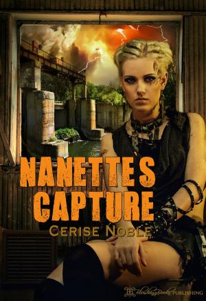 Book cover of Nanette's Capture