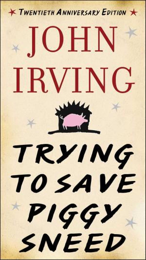 Cover of the book Trying to Save Piggy Sneed by Joanne Drayton