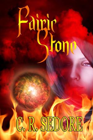 Cover of the book Fairic Stone by Julie Parker