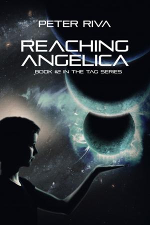 Cover of the book Reaching Angelica by John Larison