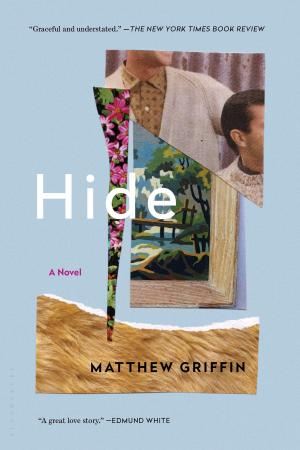 Cover of the book Hide by Adrienne Terrell Washington