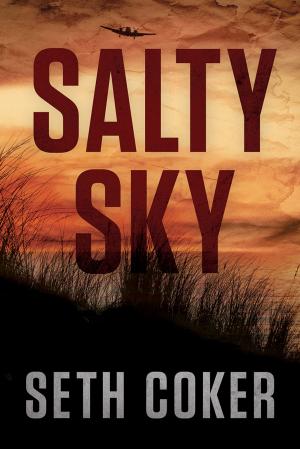 Cover of the book Salty Sky by Gary Bradt