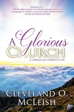 Cover of the book A Glorious Church by Michael Snow