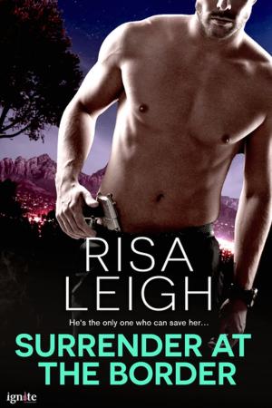 Cover of the book Surrender at the Border by Shellee Roberts