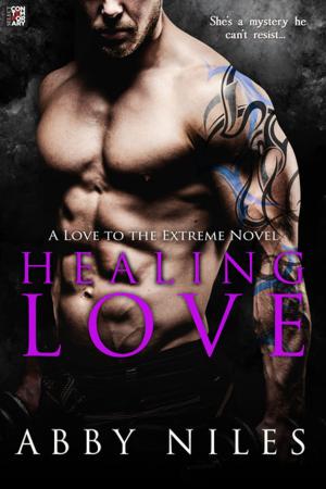 Cover of the book Healing Love by N.J. Walters