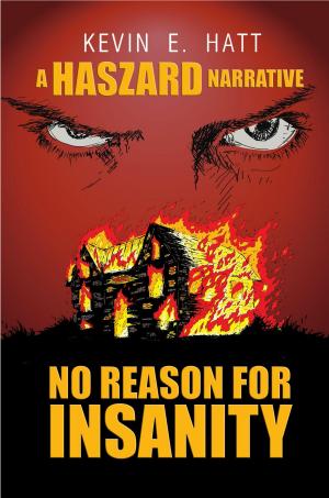 Cover of the book No Reason for Insanity by Melanie Bragg