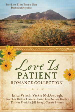 Book cover of Love Is Patient Romance Collection