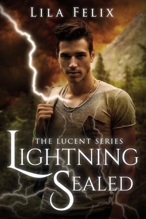 Cover of the book Lightning Sealed by Sandy Goldsworthy