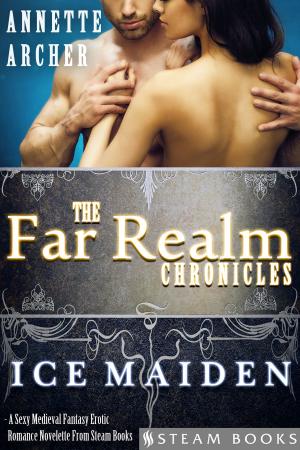 Cover of Ice Maiden - A Sexy Medieval Fantasy Erotic Romance Novelette From Steam Books
