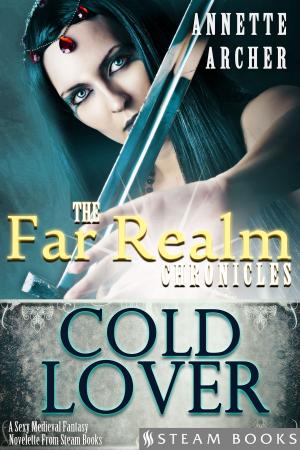 Cover of Cold Lover - A Sexy Medieval Fantasy Novelette From Steam Books