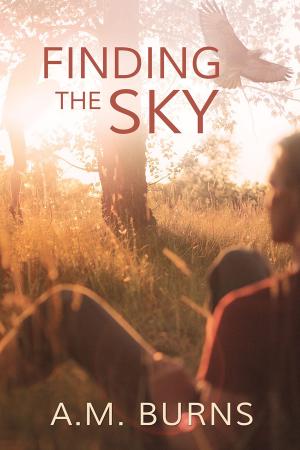 Book cover of Finding the Sky