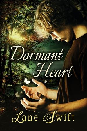 Cover of the book Dormant Heart by J.P. Barnaby