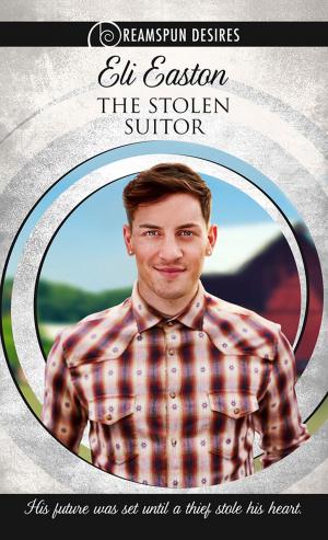 Cover of the book The Stolen Suitor by Brandon Witt