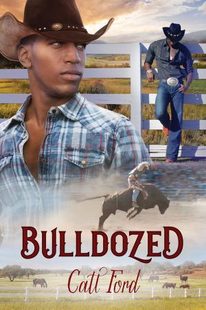 bigCover of the book Bulldozed by 