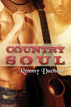 bigCover of the book Country Soul by 