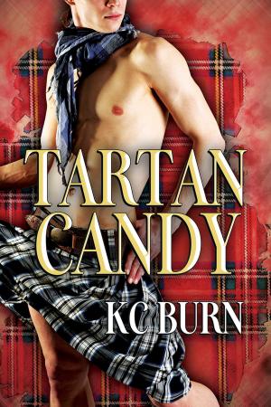 Cover of the book Tartan Candy by Aliyah Burke