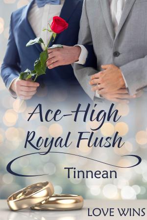 Cover of the book Ace-High Royal Flush by Nanisi Barrett D'Arnuk