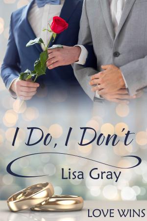 Cover of the book I Do, I Don't by J.D. Ryan