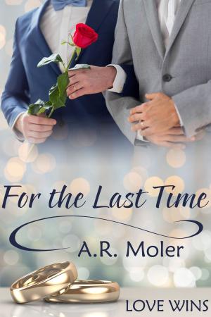 Cover of the book For the Last Time by J.M. Snyder
