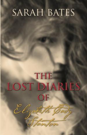 Cover of the book THE LOST DIARIES OF ELIZABETH CADY STANTON by Norma Eckroate