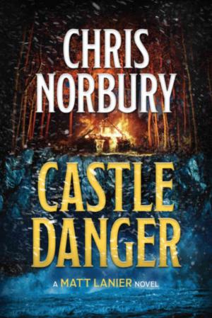 Cover of the book CASTLE DANGER by Ciri George