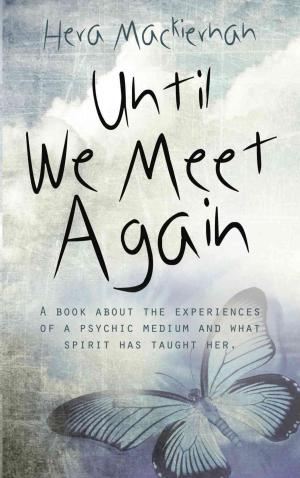 Cover of the book Until We Meet Again by Johnny Townsend