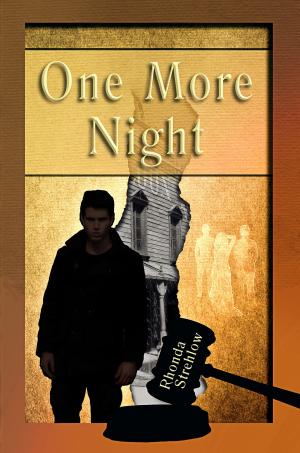 Cover of the book One More Night by Nell DuVall