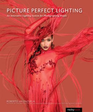 Cover of the book Picture Perfect Lighting by Tilo Linz