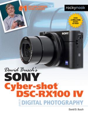 Book cover of David Busch's Sony Cyber-shot DSC-RX100 IV