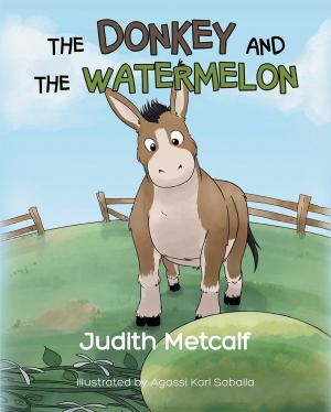 Cover of the book The Donkey and the Watermelon by Felicity McCullough