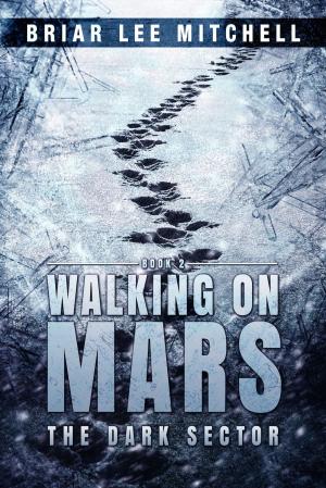Book cover of The Dark Sector (Walking on Mars Book 2)