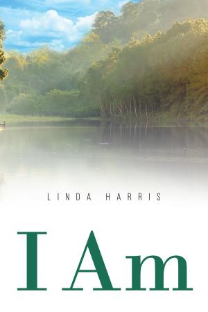 Cover of the book I Am by Kimberly Bahr