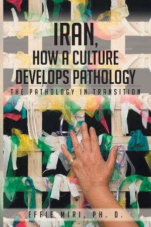 Book cover of Iran, How a Culture Develops Pathology: The Pathology in Transition