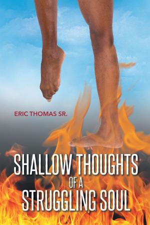bigCover of the book Shallow Thoughts of a Struggling Soul by 
