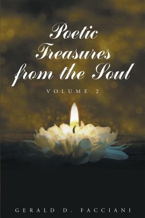 Cover of the book Poetic Treasures from the Soul, Volume 2 by Rachel Zangrillo-Galcinao